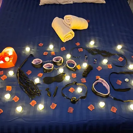 Appartement La Sixtys Loveroom Castres (Tarn)