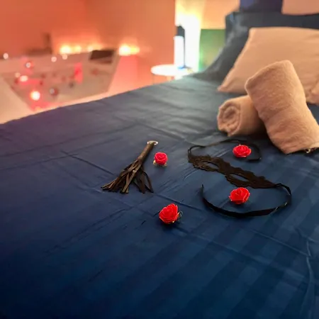 Theme Annees 60' L Baignoire Jets L Clim L Netflix Apartament Castres (Tarn)