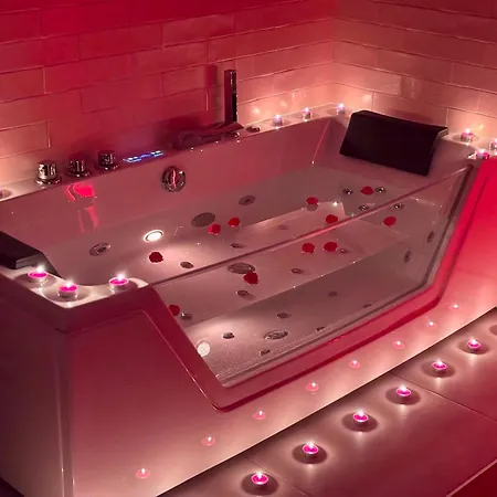 Theme Annees 60' L Baignoire Jets L Clim L Netflix Apartament Castres (Tarn)